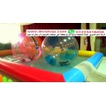 كرة ماء لعبة ممتعة water ball Ball Swimming Pool