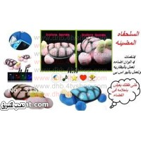 سلحفاة مضيئة 3 الوان و موسيقى لغرف الاطفال و الكبار و اباجورة ايضا سلحفاة مضيئة 3 الوان و موسيقى لغرف الاطفال و الكبار و اباجورة ايضا
